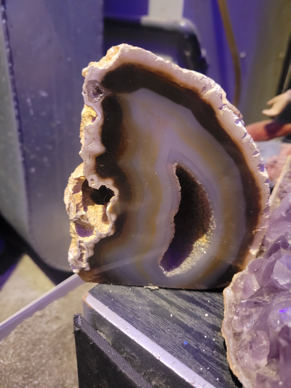 Natural Agate Geode Decorative Slice - Brown and Cream
